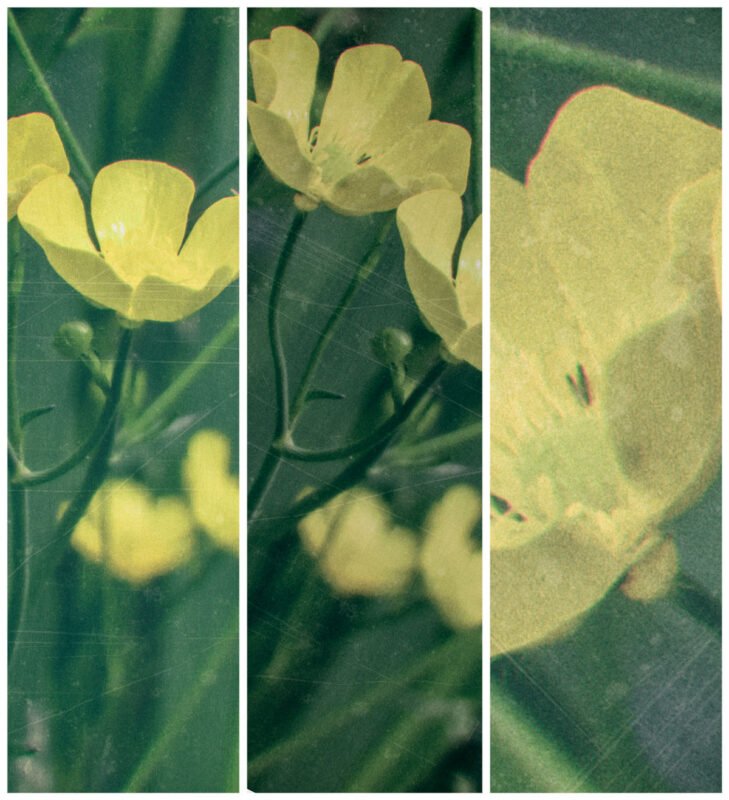 Västra Hamnens Cyklar